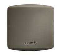 Somfy 2400556 - Récepteur Portail/Porte de Garage extérieur Universel | Technologie RTS
