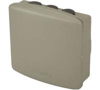 SOMFY - Commande universelle 1841022 M. RTS de radio de 2 canaux Récepteur de radio