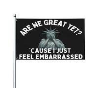 Sommes-nous enfin grands ? Parce que j'ai honte ! Drapeau anti-idiots 90 x 150 cm, bannière de jardin