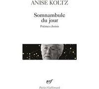 Somnambule du jour: Poèmes choisis