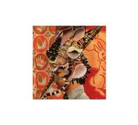 Son Ambulance - Someone Else'S Deja Vu