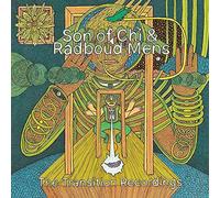 Son Of Chi & Radboud Mens - Transition Recordings