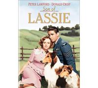 Son of Lassie [45/E/Dd/S:E,J] [Import allemand]