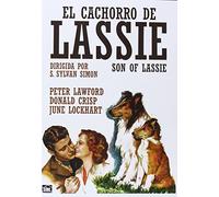 Son of Lassie - El cachorro de Lassie - S. Sylvan Simon - Peter Lawford
