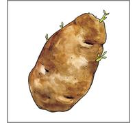 Sonar - Spud Ep the
