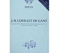 Sonata for Treble Alt Recorder & B C - [Version Originale] Inconnu (Auteur)