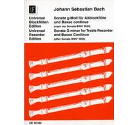 Sonata in G Minor for Treble Recorder and Continuo