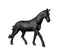 Sonata, Jument Trakehner 1:12