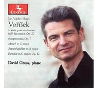 David Gross - Sonata Quasi Una Fantasia