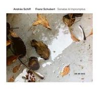 Franz Schubert – Sonatas & Impromptus – CD – Verve Spa