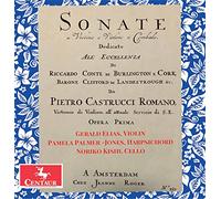 Sonate a Violino E Violone