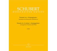Sonate Arpeggione D821 la mineur --- Clarinette/Piano