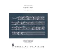 Sonate en mi mineur: flute and guitar.