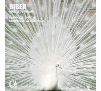 Les Sonates Du Rosaire