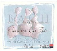 Sonates En Trio "A Deux Fleustes Esgales" De Johann Sebastian Bach, Wilhelm Friedman Bach Et Carl Philipp Emanuel Bach