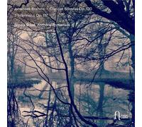 Sonates pour clarinette Opus 120 / 3 Intermezzi Opus 117 CD