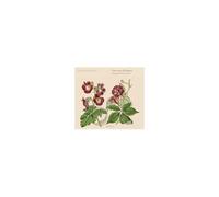 Sonates Pour Luth No. 1-4, 6-7 Et 9