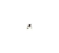 Sonates Pour Violoncelle Et Piano, Meditation, Serenade, Craddle Song Birkeland, Violoncelle & Anvik, Piano + Britten