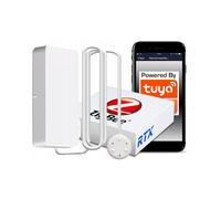 Sonde AA ZigBee TUYA pour capteur d'eau en cas d'inondation