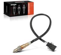 Sonde de contrôle lambda pour Stilo 192 Stilo Multi 192 1.6L 2005-2007 250-24848