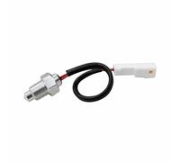 Sonde de temperature koso m10xp1.25 (250?c)