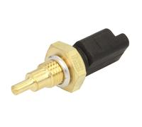 Sonde de température, liquide de refroidissement DELPHI TS10401