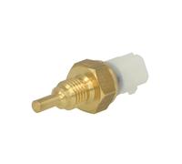 Sonde de température, liquide de refroidissement FAE 33356