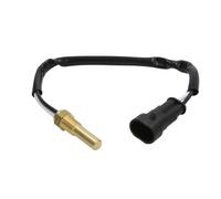 Sonde de température, liquide de refroidissement FAE 33555