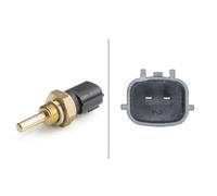 HELLA 6Pt 009 107-531 Sonde De Température, Liquide De Refroidissement - 2Pôle - Avec Joint D'Étanchéite