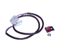 Sonde Ecs - Ferroli : 39808560