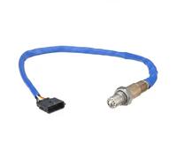 SONDE A OXYGENE