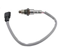 NTY ESL-RE-004 Sonde lambda