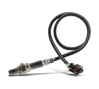 Sonde lambda avant ou après Catalyseur pour Croma Astra G Astra H Corsa C Meriva Omega B Signum Vectra B Vectra C Zafira A Zafira B 9-3 YS3F 1.8L 2.2L 1999-2015 250-24571