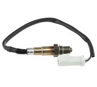 NTY Sonde lambda avant pour Ford Focus 1.4/1.6 (2000-) et Mondeo 1.6/1.8/2.0 (1998-)