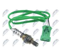 Sonde lambda avant Sonde de régulation ESL-CT-003 NTY pour CITROËN PEUGEOT FIAT