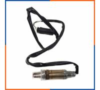 NTY ESL-BM-004 Sonde lambda