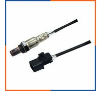 NTY ESL-DW-000 Sonde lambda