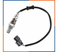 NTY ESL-HD-006 Sonde lambda