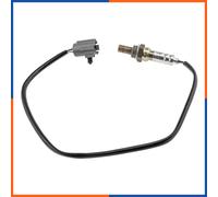 Sonde lambda