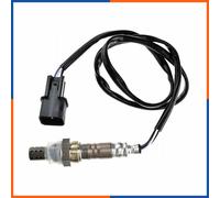 NTY ESL-MS-012 Sonde lambda