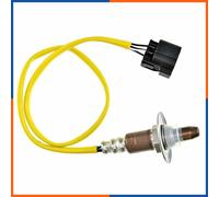 NTY ESL-SB-014 Sonde lambda