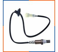 NTY ESL-SU-004 Sonde lambda