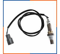 NTY ESL-TY-024 Sonde lambda