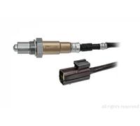 FACET 10.8098 Sonde lambda