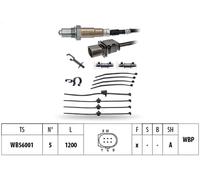 Sonde lambda FACET 10.8425