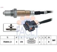 FACET 10.8538 Sonde lambda
