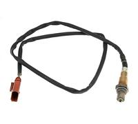 NTY ESL-AU-020 Sonde lambda