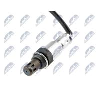 NTY ESL-DW-014 Sonde lambda