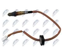 NTY ESL-MS-008 Sonde lambda