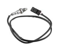 NTY ESL-BM-021 Sonde lambda